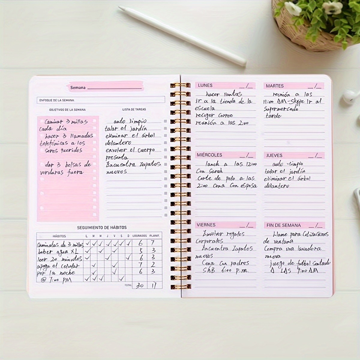 Planificador semanal en inglés - Planned Parenthood reseña y precio